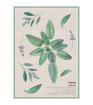 STROFINACCIO AROMI 50X70 Tellini S.r.l. Ingrosso Abbigliamento